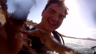 Arizona Angry Crawfish