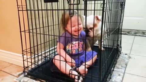 Cute Baby ❣ and Animals Funny Videos