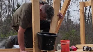 Flock it Farm: stanchion for milking goats