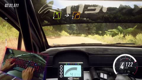 Dirt Rally 2.0 play with keyboard.mp4