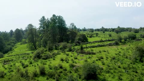 Thailand Forest Areal View