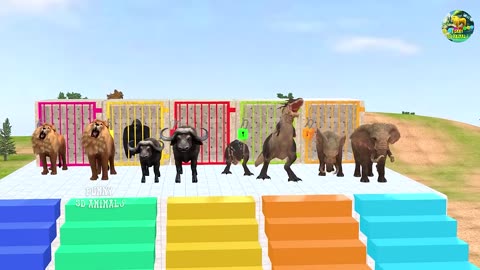 Paint animals gorilla elephant dog lll entertainment hub