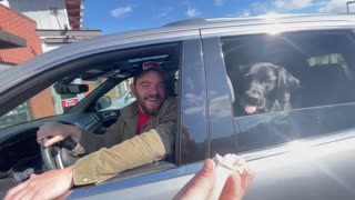 Lab Licks Up Entire Pup Cup