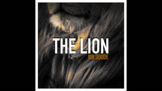 'The Lion' by Mr Goode