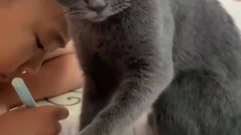 Fanny cat videos | kitty cat video | Cat videos | Cat Viral video |