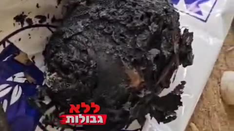 Hamas Terrorist Video 6