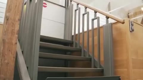 Trending Staircase and wheelchair lift in one