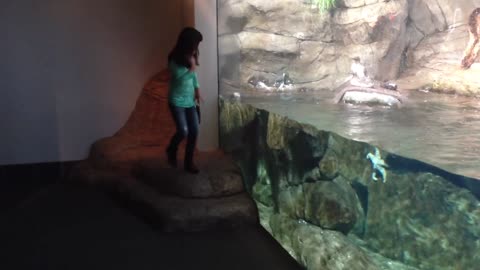 Funny Kids at the Aquarium | Girl SPOOKED By A Beluga Whale!