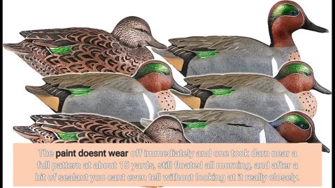 Skim Comments: Avian-X Topflight Green-Winged Teal Durable Ultra Realistic Floating Hunting Duc...