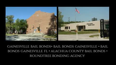bail bonds gainesville fl