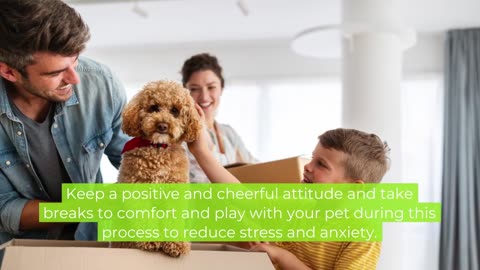 Create a Stress-Free Move for Your Pet