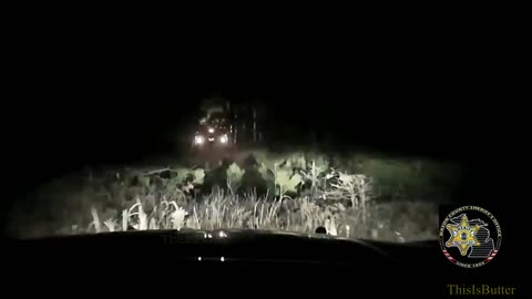 Dash camera shows Michigan deputies chase suspect through woods