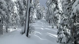 Snow Globe Hiking – Central Oregon – Vista Butte Sno-Park – 4K