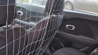 Want to save money on a dog barrier for your vehicle?!