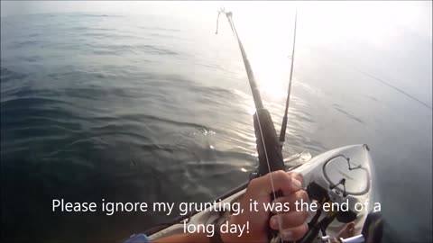 Kayaker gets a surprise visit from a shark