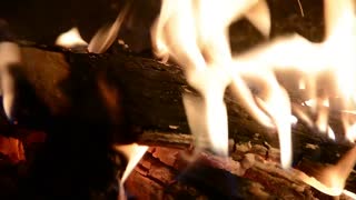 Relaxing Woodland Campfire with Crackling Fire and Sounds of the Forest Birds at Twilight