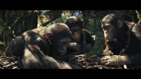 Kingdom of planet of the apes preview