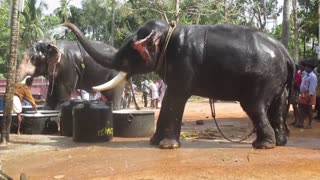 Kollam Tourism - PARIPPALLY TEMPLE FESTIVAL