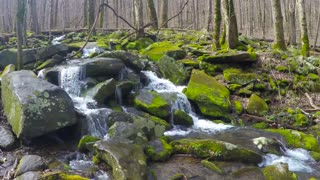 Mountain stream