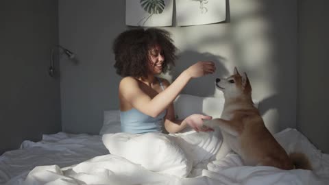 Dog Funy With Girl On Bed