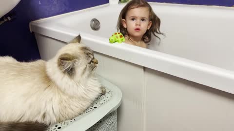 Fluffy_Cat_Protects_Cute_Baby_In_The_Bath!