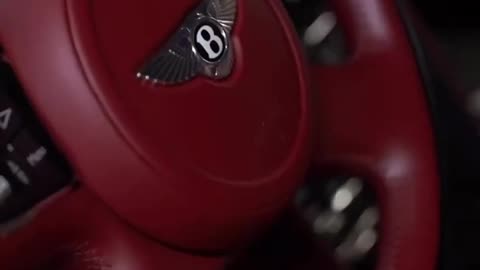Volkswagen vs Bentley Girl Car ASMR 🚗