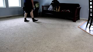 German Shepherd Training Fail | Face Plant