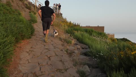 Man running with two dogs up a mountain