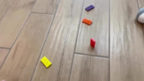 Amazing First Try Domino Flip