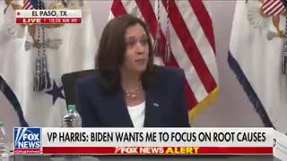 Kamala Harris Blames Trump For "Inherited" Border Crisis