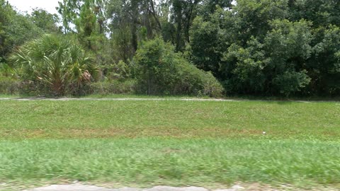 (00157) Part Four (P) - Rural Sarasota County, Florida. Sightseeing America!