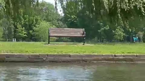 Boat Ride Along The River Avon - Stratford-Upon-Avon- #shorts #stratford #stratforduponavon #river