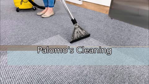 Palomo's Cleaning - (713) 379-1738
