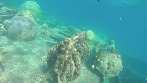 The Wreck Of The Terushima Maru, Maloelap Atoll, Marshall Islands