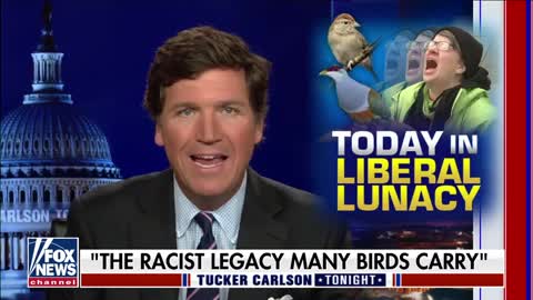 This just in: Birds are racist white supremacists!