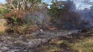 Controlan incendio forestal en la Ruta 90