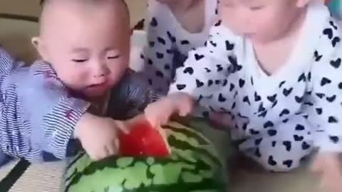 Children fighting watermelon