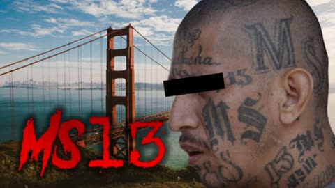 Gang War: MS 13 in San Francisco