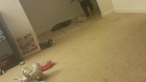 Tot Boy Plays Fetch With A Ball Like A Dog