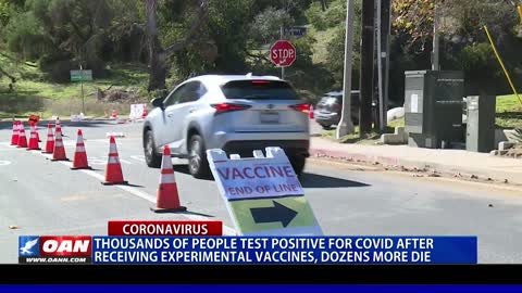 Thousands of people test positive for COVID after receiving experimental vaccines, dozens more die