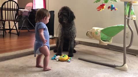 Pooch Teaches Toddler How To Sit
