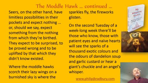 The Moddle Hawk