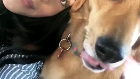 Dogy Taking Selfe With Her Owner