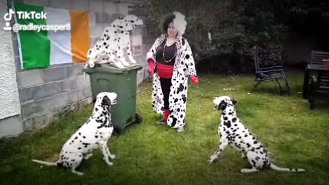 Cruella and her dancing dogs