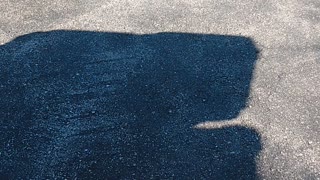 Skater at park