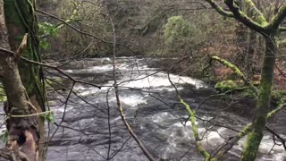 The River Gryffe, Scotland