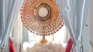 Adoration - Christine Prays for You - Tue, Apr. 2 2024