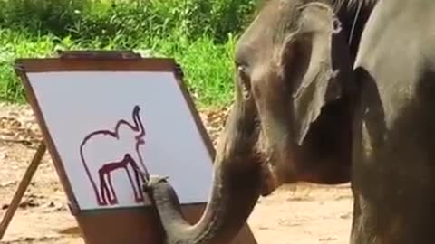 Smart Elephant