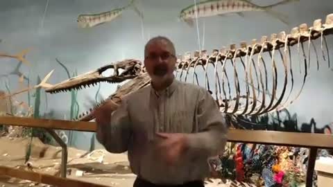 Virtual dinosaur museum tour video number 2