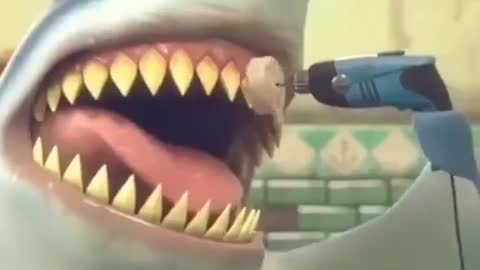 Funny shark